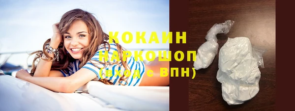 крисы Краснослободск