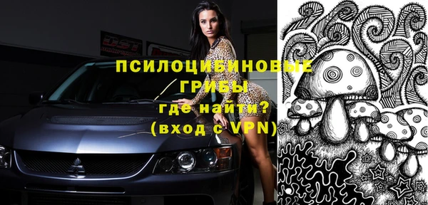 крисы Краснослободск