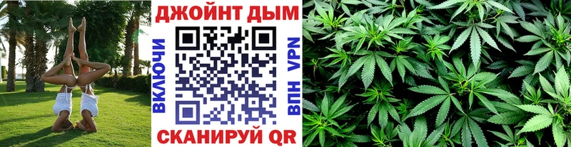 Купить где  Межгорье  Конопля план 